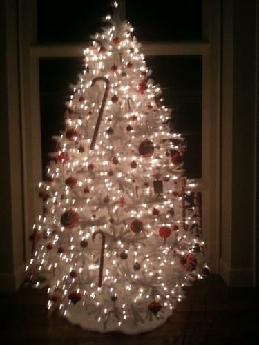  Ashley Greene Tweets A Pic of her Christmas arbre