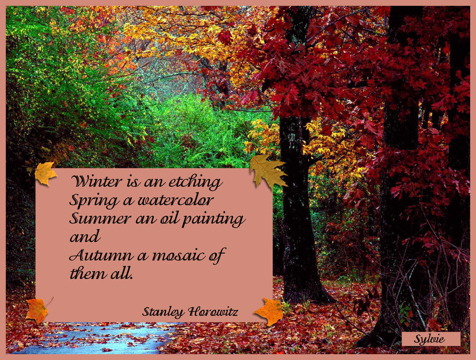Autumn - Nature's Seasons Fan Art (9455604) - Fanpop