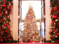 Christmas at the White House - christmas photo