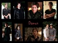Damon Multi Wall - the-vampire-diaries wallpaper