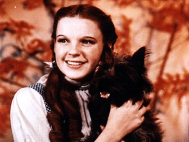 wizard of oz dorothy. Dorothy And Toto Wallpaper