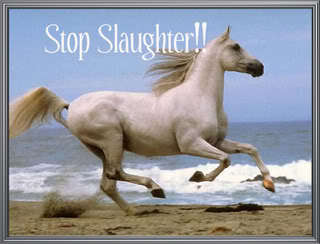  End Horse Slaughter !