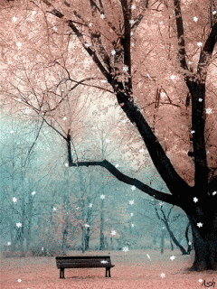  It's Snowing Merry বড়দিন Susie