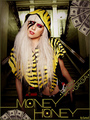 Money Honey - lady-gaga photo