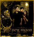 New Moon Calendar 2010 - twilight-series photo