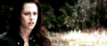 New Moon Gifs(from twifans)  - twilight-series photo