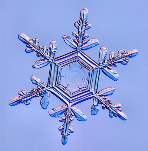  Real Snowflakes!