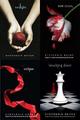 The Twilight Saga - twilight-series fan art