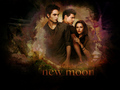 Wallpapers - new-moon-movie wallpaper