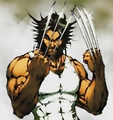Wolverine - wolverine fan art