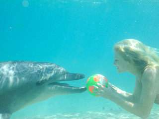 rikki and a dolphin