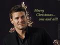 bones - Merry Christmas... one and all! wallpaper