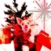 Best Christmas Gift !!!!!!!!! - chihuahuas icon