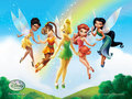 disney - Disney Fairies wallpaper