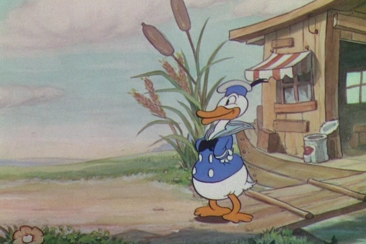 Donald Duck - The Wise Little Hen - Donald Duck Image (9561847) - Fanpop