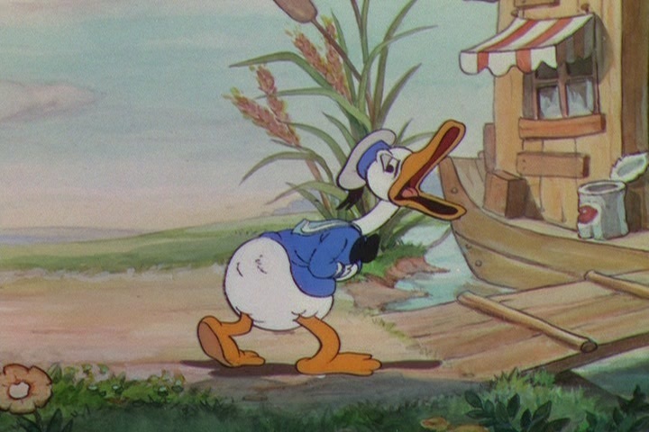 Donald Duck - The Wise Little Hen - Donald Duck Image (9561871) - Fanpop