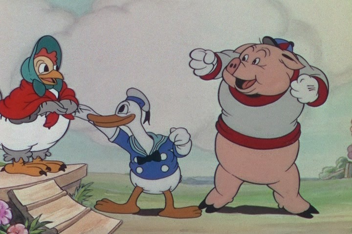 Donald Duck - The Wise Little Hen - Donald Duck Image (9562153) - Fanpop