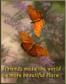 Butterfly Friends ! - butterflies fan art
