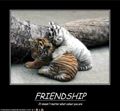 Friendship has no Differences