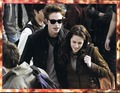 New Moon Collector Edition - twilight-series photo