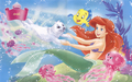 Princess Ariel - disney-princess wallpaper