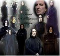 Severus-Masterpiece - severus-snape fan art