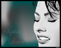 Sophia Loren - sophia-loren fan art