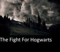 The Deathly Hollows - harry-potter photo