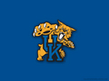 Uk logo - kentucky-wildcats wallpaper
