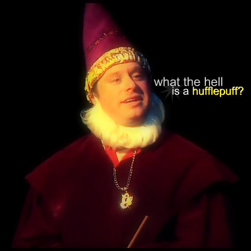 what-the-hell-is-a-hufflepuff-starkidpot