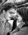 ♥ ღ Edward & Bella Twilight ღ ♥ - twilight-series fan art