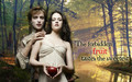 ♥ ღ Edward & Bella Twilight ღ ♥ - twilight-series wallpaper