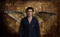 ♥ ღ Edward Cullen ღ ♥ - twilight-series wallpaper