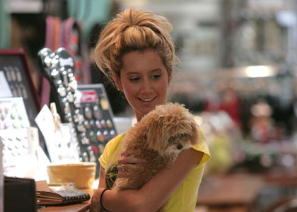 Ashley Tisdale's Pet Shop Stop