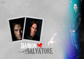 Damon Salvatore Wallpaper 1 - the-vampire-diaries photo