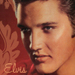 Elvis <3 - elvis-presley icon