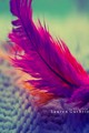 Feathers - photography photo
