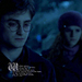 Harry Potter and the Deathly Hallows - users-icons icon
