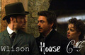 House MD Trio - house-md photo