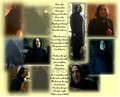 Severus-From A far - severus-snape fan art
