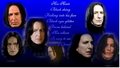 Severus-His Hair - severus-snape fan art