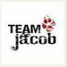 Team Jacob! - taylor-lautner icon