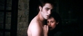 The Many Faces Of Shirtless Edward! - twilight-series photo