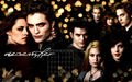 Twilight Saga 2010 Desktop Wallpaper Calendar(from novel noviee twilight) - twilight-series fan art