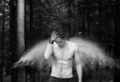 edward angel - twilight-series photo