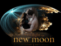 twilight-series - new moon wallpaper