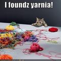 omg!! its yarnia!! - lol-cats photo