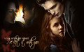 ღ Edward & Bella ღ  - twilight-series wallpaper