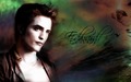 ♥ ღ Edward Cullen ღ ♥  - twilight-series wallpaper