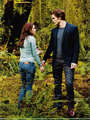 ~ Edward and Bella ~ - twilight-series photo